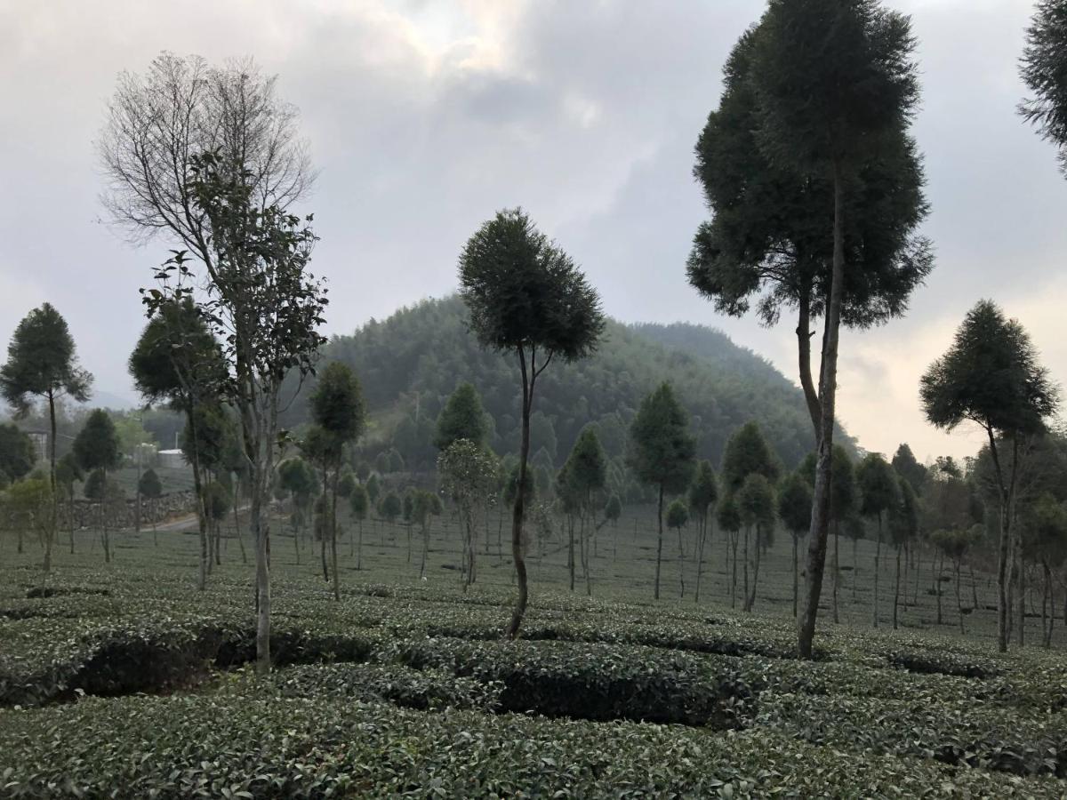 悟 佐茶 Satori Tea Villa Leye Dış mekan fotoğraf